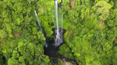 Endonezya, Bali 'deki güzel tropikal Sekumpul Şelalesi civarında. Hava görüntüsü 4K