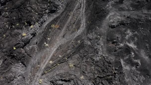 Antecedentes del solidificado campo de lava negra en Hawaii. Vista aérea 4K — Vídeos de Stock