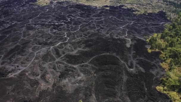 インドネシアのバリ島の火山Batur近くの固化した溶岩フィールド上の道路。空中ビュー｜4K — ストック動画