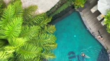 Sazlık çatılı, havuzlu ve Bora Bora 'daki tropik palmiyelerin etrafında güzel özel bungalovlar. Genç bir kadın havuzda yüzüyor. Hava görüntüsü 4K