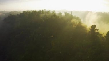 Amazon yağmur ormanlarında sisli bir sabahta gün doğumu ve yağmur. Hava görüntüsü 4K.