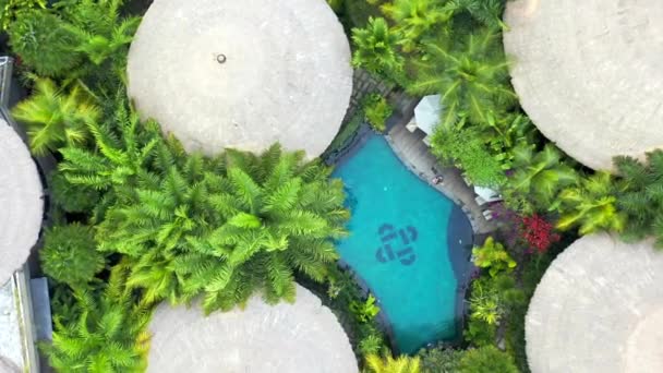Vackra privata bungalows med vass tak och pool och runt tropiska palmer i Bora Bora. Ung kvinna simmar i poolen. Flygvy 4K — Stockvideo
