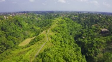 Panoramik hava manzaralı Campuhan Tepesi Yürüyüşü, Ubud, Bali, Endonezya 'daki Yeşil Vadi.