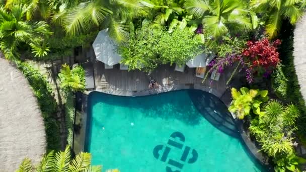 Tropická vila u bazénu s kokosovou palmou. Letecký pohled 4K. — Stock video