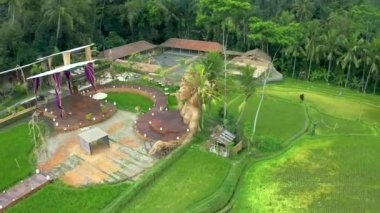Ubud köyündeki festivalde pirinç tarlasında hasır bir kadın. Bali, Endonezya: 15 Ocak 2020. Hava görüntüsü 4K