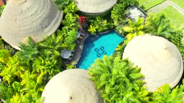 Tetto di bambù a casa tropicale con piscina in Ubud, Bali, Indonesia. Vista aerea 4K. — Video Stock