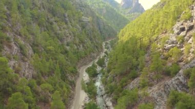 Dik uçurumlar ve çam ormanları. Gezgin dağ yolu, Türkiye 'de dere nehri. Hava görüntüsü 4K.