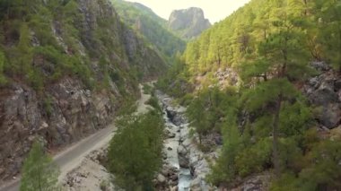 Nehir boyunca dolambaçlı bir yol ve Türkiye dağlarındaki vadide kozalaklı bir orman. Hava görüntüsü 4K.