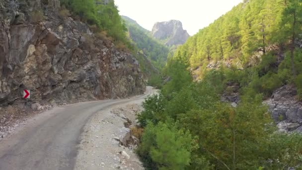 Move forvard a winding road along the river and coniferous forest in the gorge of the mountains of Turkey. Aerial view 4K. — Stock Video
