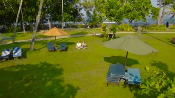 Casal homem e mulher sentam-se na grama contra as palmeiras no resort tropical. Vista aérea 4K. — Vídeo de Stock