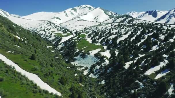 Prados de montaña y un glaciar en Almaty, Kazajstán. Vista aérea 4K. — Vídeos de Stock