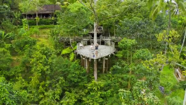 Aerial view young couple on the observation deck in the form of a boat in the jungle in Bali, Indonesia. — стокове відео