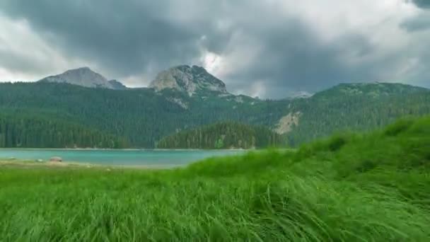 Belo lago de montanha alpino Gosausee com vista de grama verde e céu nublado na Áustria Alpes. Prazo de validade 4K. — Vídeo de Stock