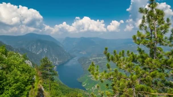 Gyönyörű táj a Tara Nemzeti Park kilátás Bosznia-Hercegovinában. Drina folyó kanyon és zöld sziklák napsütéses nyári napon Szerbiában. 4K időintervallum. — Stock videók