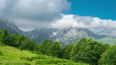 Karadağ 'ın Komovi milli parkının ağaçlı ve tarlalı manzaraları. Zaman Dilimi 4K.