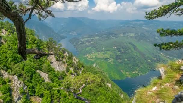 Дерева на скелі Баньска на горі Тара дивляться вниз на річку Дріна в Сербії. Timelapse 4K. — стокове відео
