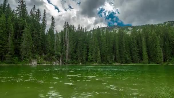 Vattenliljor vid Ormsjön - Zmijinje Jezero med tallar och moln i Durmitor, Montenegro. Tidsåtgång 4K. — Stockvideo