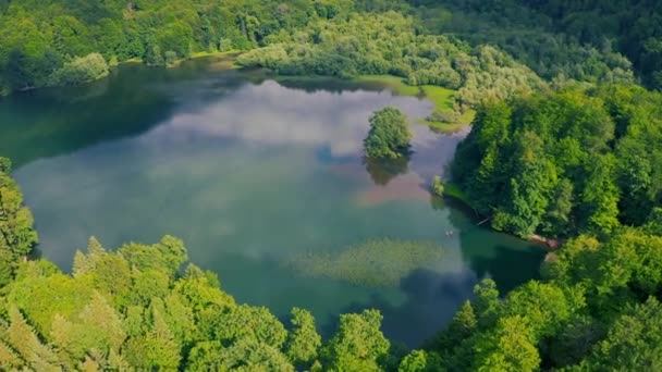 Birds eye view of scenic emerald lake surrounded by pine forests. Clouds reflecting in lake. Aerial view 4K. — Stock Video