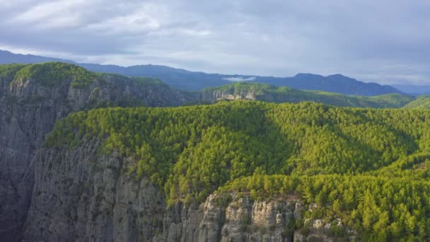 Αεροφωτογραφία του πυκνού πράσινου δάσους στις κορυφές του φαραγγιού Tazi στο Εθνικό Πάρκο Manavgat, Αττάλεια, Τουρκία. Αεροφωτογραφία 4K. — Αρχείο Βίντεο