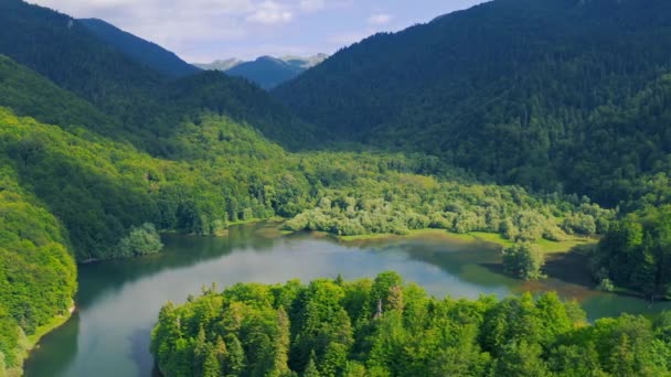 Biogradsko jezero je staré sopečné jezero v Kolasinu, Biogradska Gora národní park v Černé Hoře, Evropa. Letecký pohled 4K. — Stock video