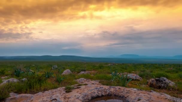 Dramatis Sunset In A Rocky Steppe — Stok Video