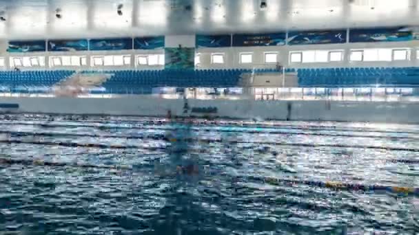 Пловцы в бассейне — стоковое видео