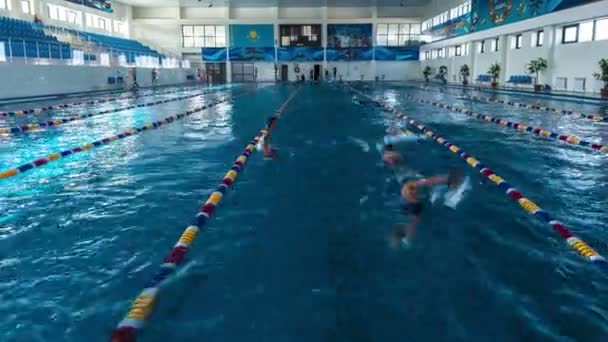 Κολυμβητές στην πισίνα — Αρχείο Βίντεο