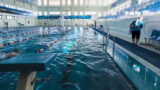 Nadadores na piscina — Vídeo de Stock