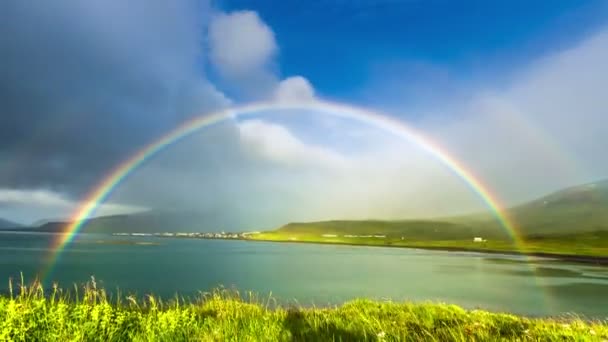 Gras wuiven in de wind en de regenboog — Stockvideo