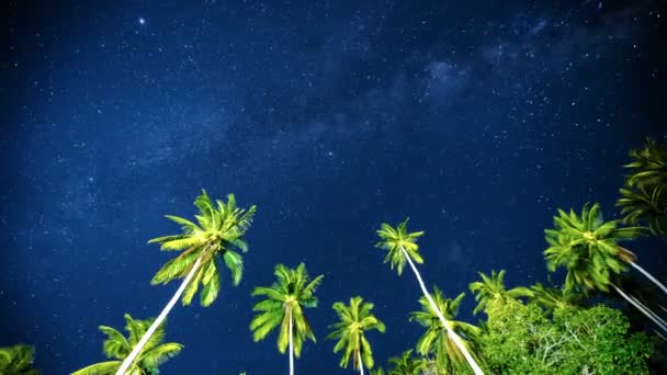 De sterrenhemel boven de palmbomen — Stockvideo