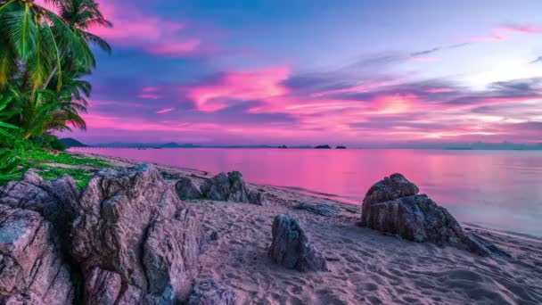 Incroyable coucher de soleil violet sur la mer — Video