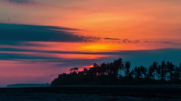 Pôr do sol no fundo das palmeiras — Vídeo de Stock