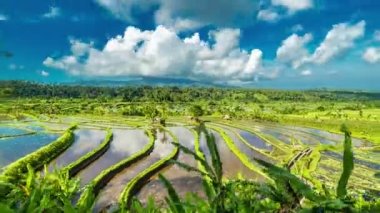 Bulutlar pirinç terasları üzerinde hareket