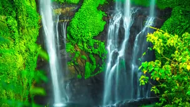 Sekumpul vodopád Hidden panenském ráji — Stock video