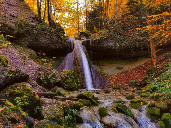 Cachoeira Outono Com Cores Laranja Amarela Correndo Água Clara Fria — Fotografia de Stock