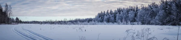 Χειμερινό τοπίο Πανόραμα Φωτογραφία Αρχείου