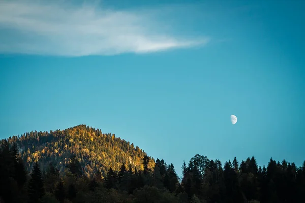 Luna Brillante Las Montañas Contra Fondo Una Cresta Con Árboles — Foto de Stock