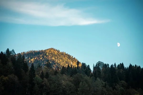 Luna Brillante Las Montañas Contra Fondo Una Cresta Con Árboles — Foto de Stock