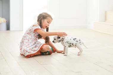 Küçük kız nazikçe dalmaçyalı bir köpeğe dokunuyor..