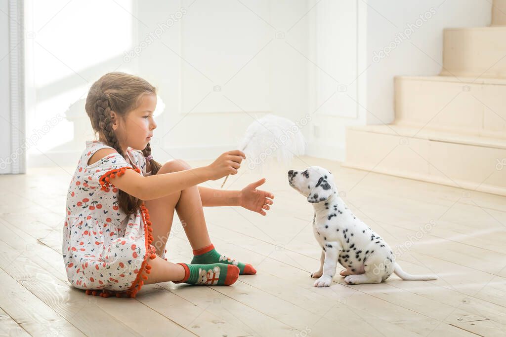 Little girl playing with white feather dalmatian puppy.