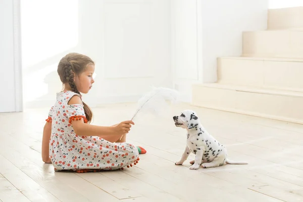 Küçük kız beyaz tüylü dalmaçyalı yavru köpekle oynuyor..