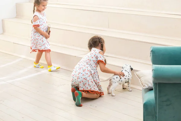 İki küçük kız, hafif zeminde dalmaçyalı bir köpekle oynuyorlar..