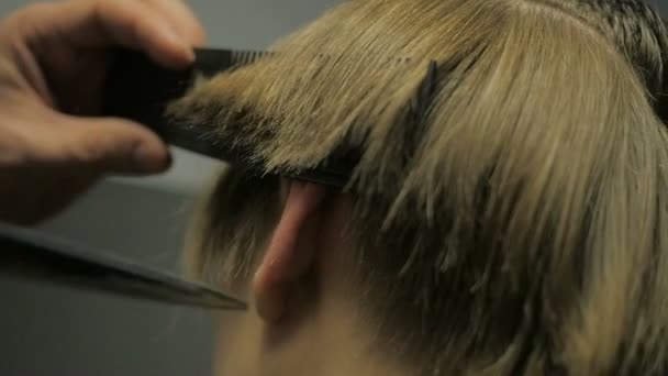 Friseur macht Haarschnitt in Zeitlupe — Stockvideo