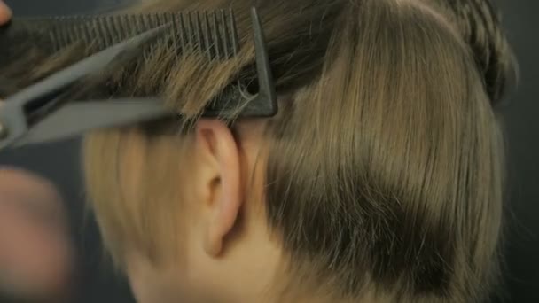 Saçlarını makasla yapıyor Kuaför — Stok video
