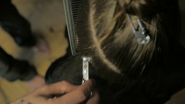 Barbiere fare un taglio di capelli al rallentatore — Video Stock