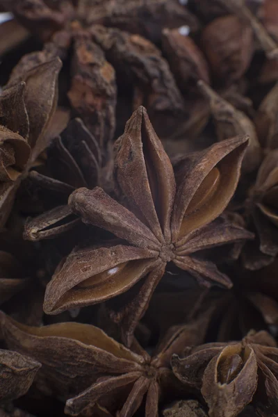 As estrelas do anis — Fotografia de Stock