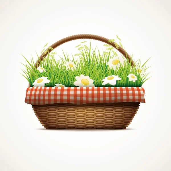 Spring in wicker basket — Stock Vector