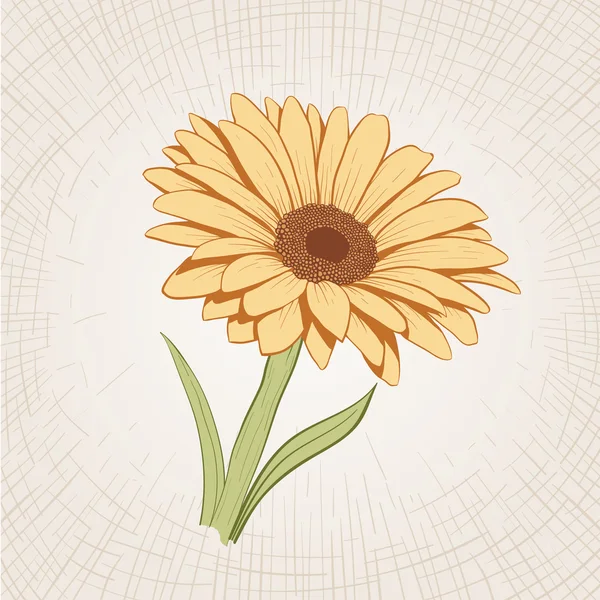 手描きの黄色い花 — ストックベクタ