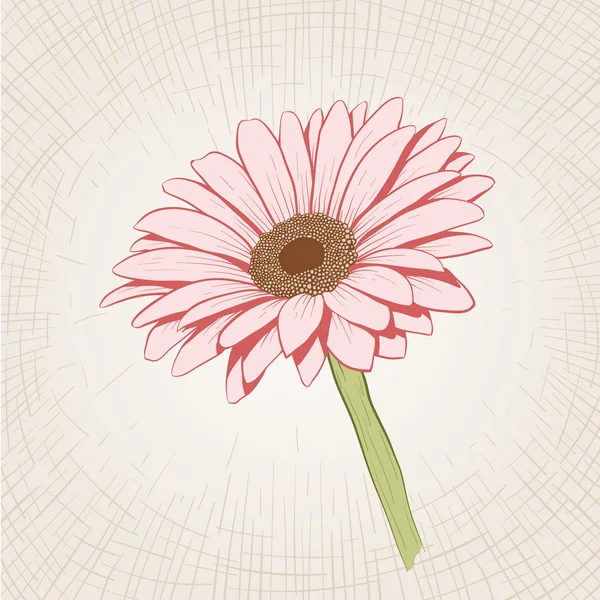 手描きピンク花 — ストックベクタ