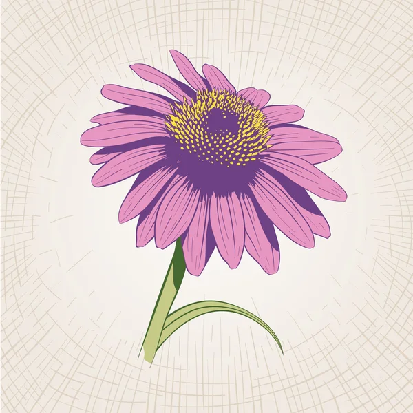 手描きの花 — ストックベクタ